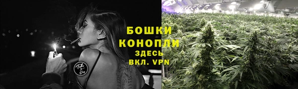ГАЛЛЮЦИНОГЕННЫЕ ГРИБЫ Аркадак
