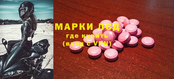 ГАЛЛЮЦИНОГЕННЫЕ ГРИБЫ Аркадак